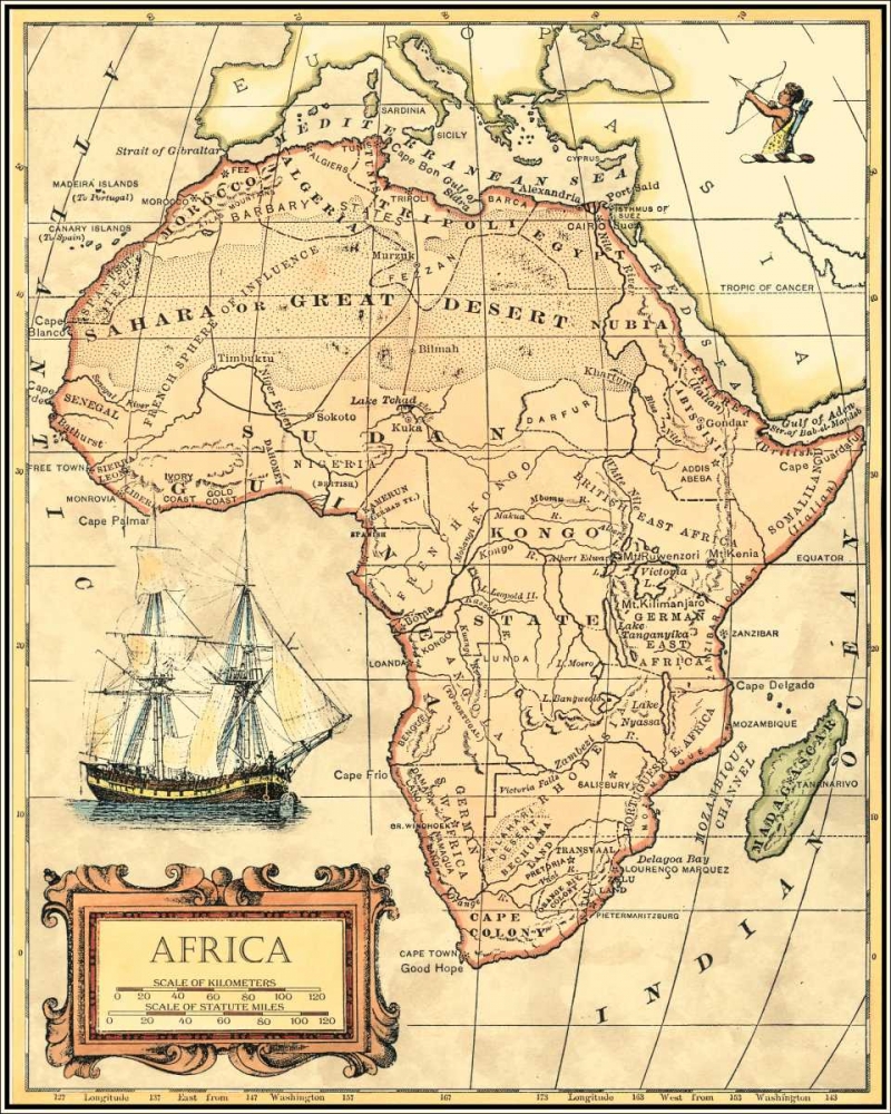 Wall Art Painting id:170019, Name: Africa Map, Artist: Vision Studio