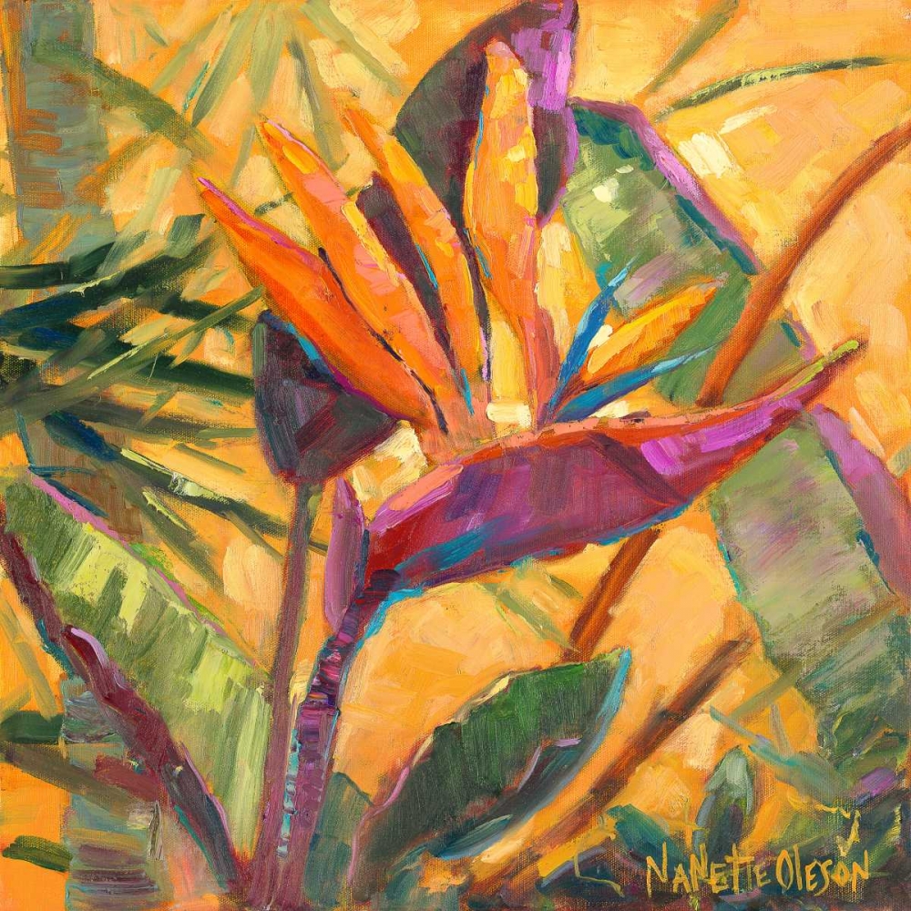 Wall Art Painting id:49707, Name: Splash of the Tropics I, Artist: Oleson, Nanette