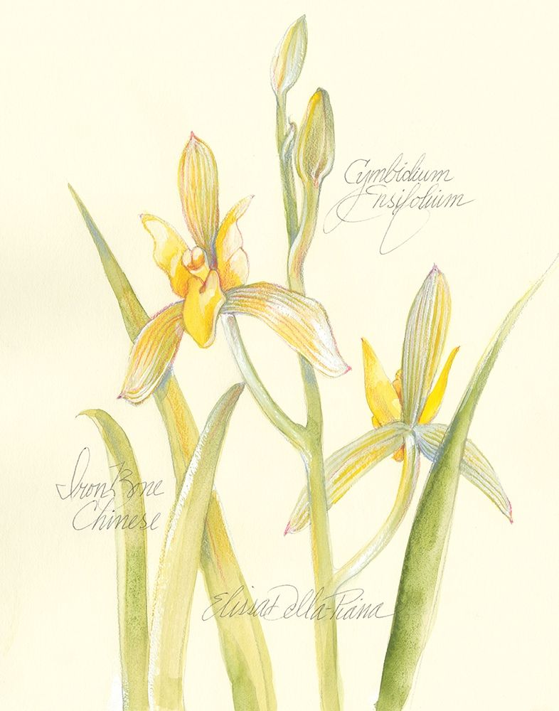 Similar wall art painting: 236271