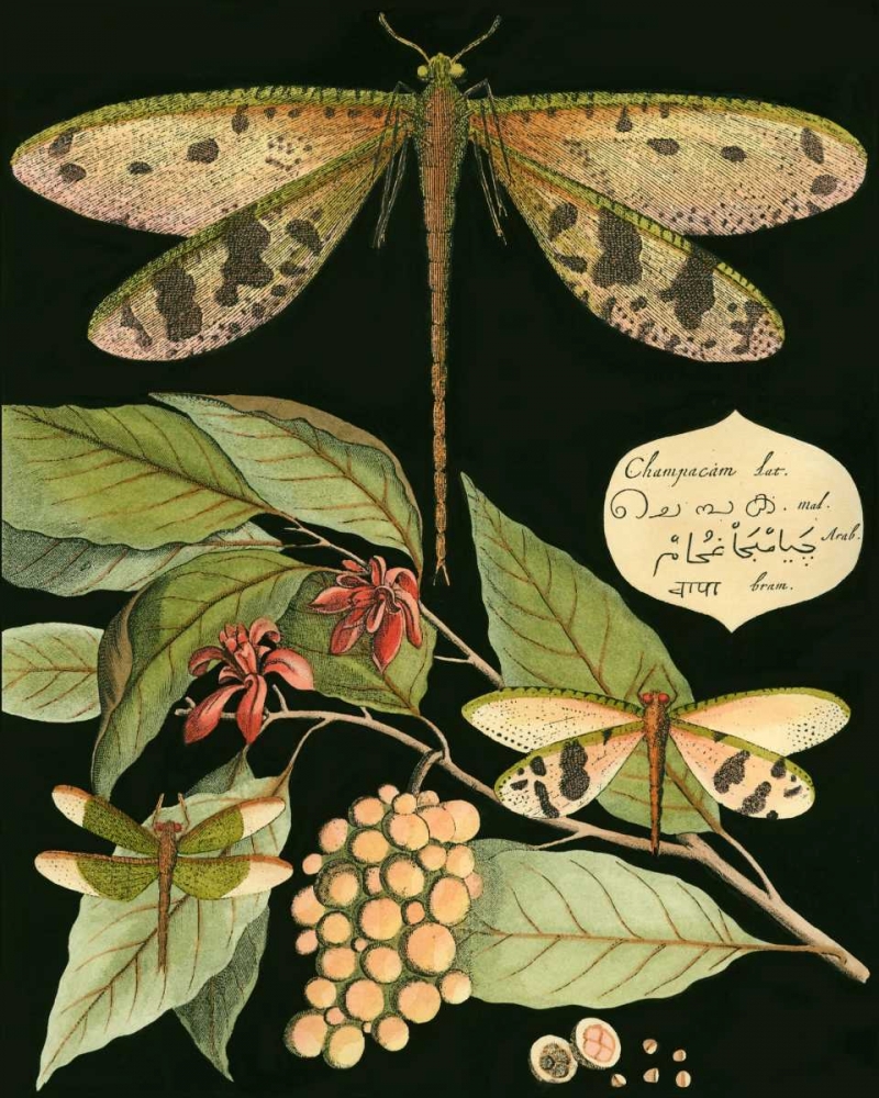 Similar wall art painting: 38307