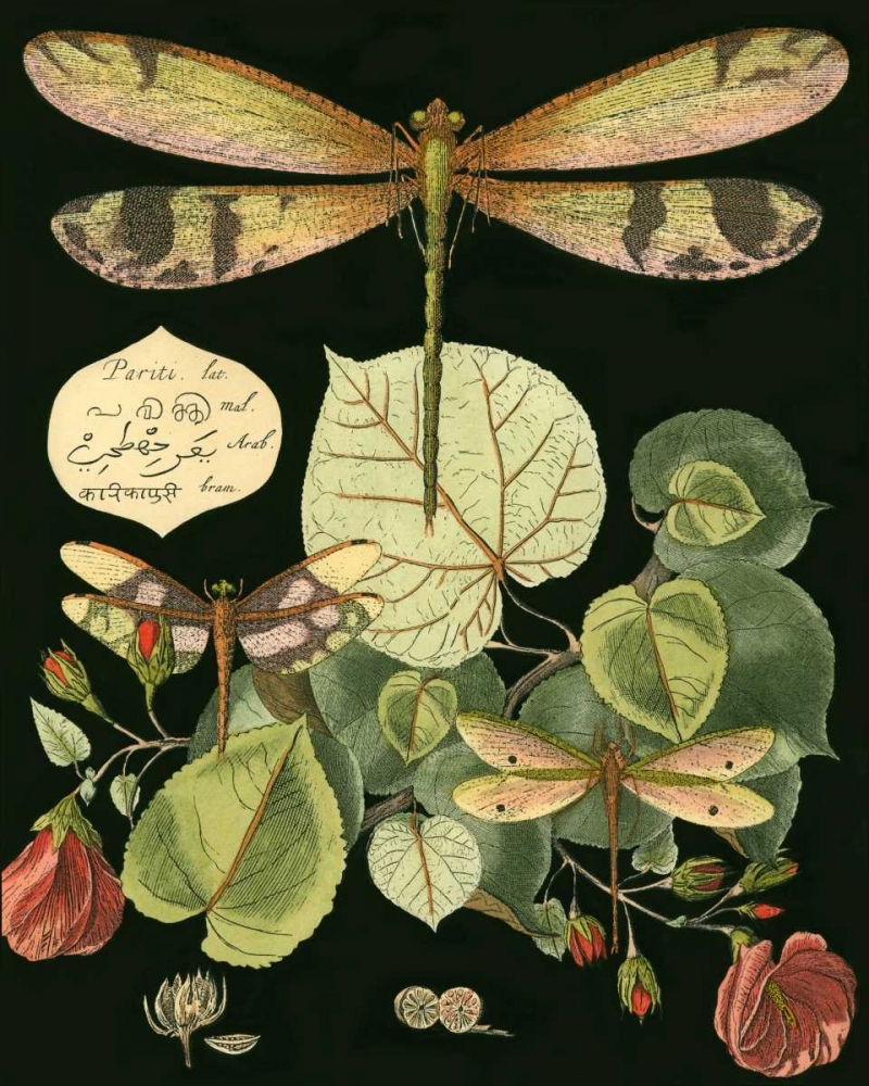 Similar wall art painting: 38308