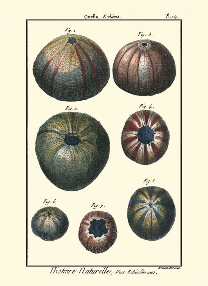 Similar wall art painting: 66456