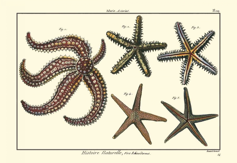 Similar wall art painting: 66462