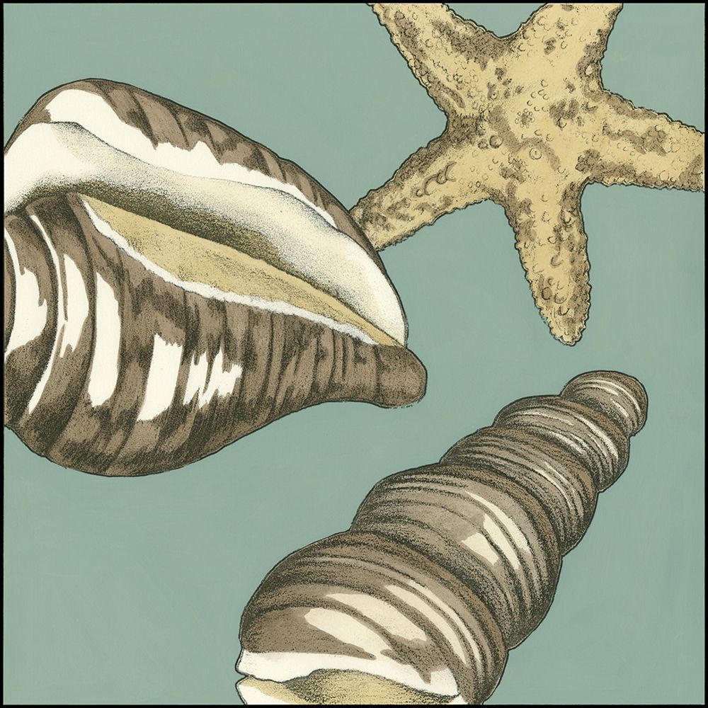 Wall Art Painting id:236438, Name: Small Shell Trio on Blue I, Artist: Meagher, Megan