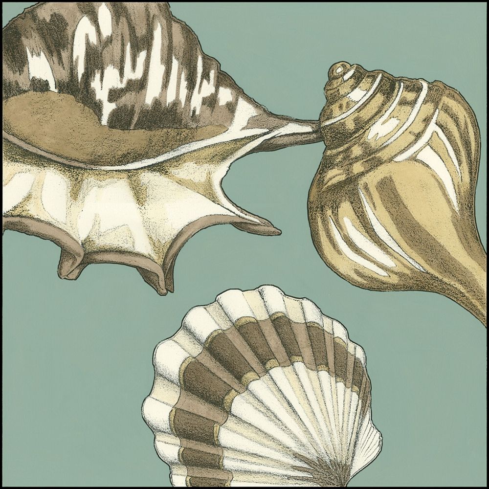Art Print: Small Shell Trio on Blue III