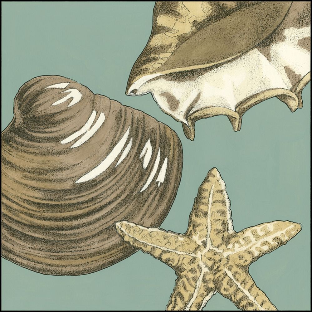 Wall Art Painting id:236441, Name: Small Shell Trio on Blue IV, Artist: Meagher, Megan