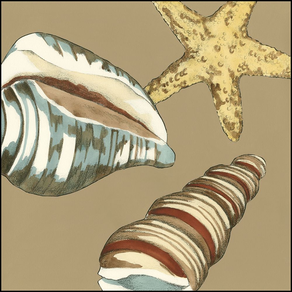 Wall Art Painting id:236442, Name: Small Shell Trio on Khaki I, Artist: Meagher, Megan