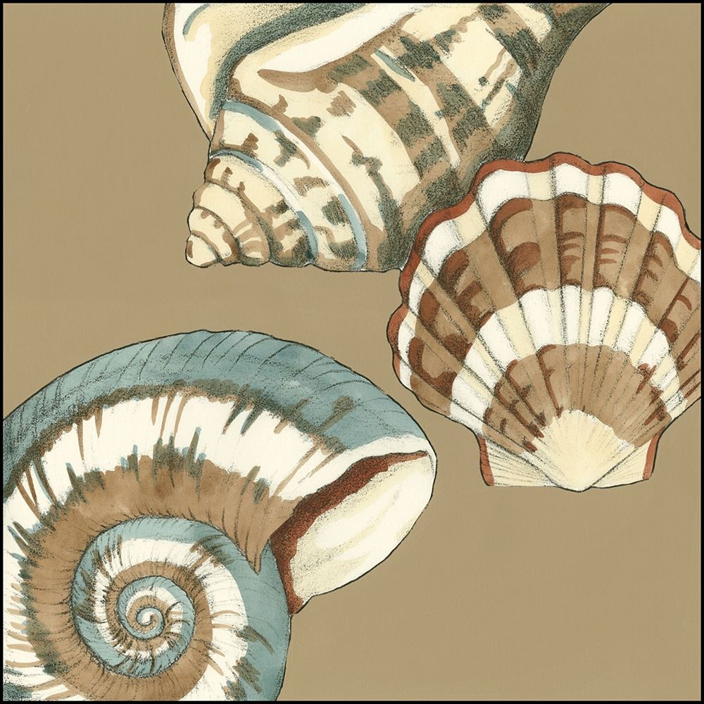 Wall Art Painting id:236443, Name: Small Shell Trio on Khaki II, Artist: Meagher, Megan