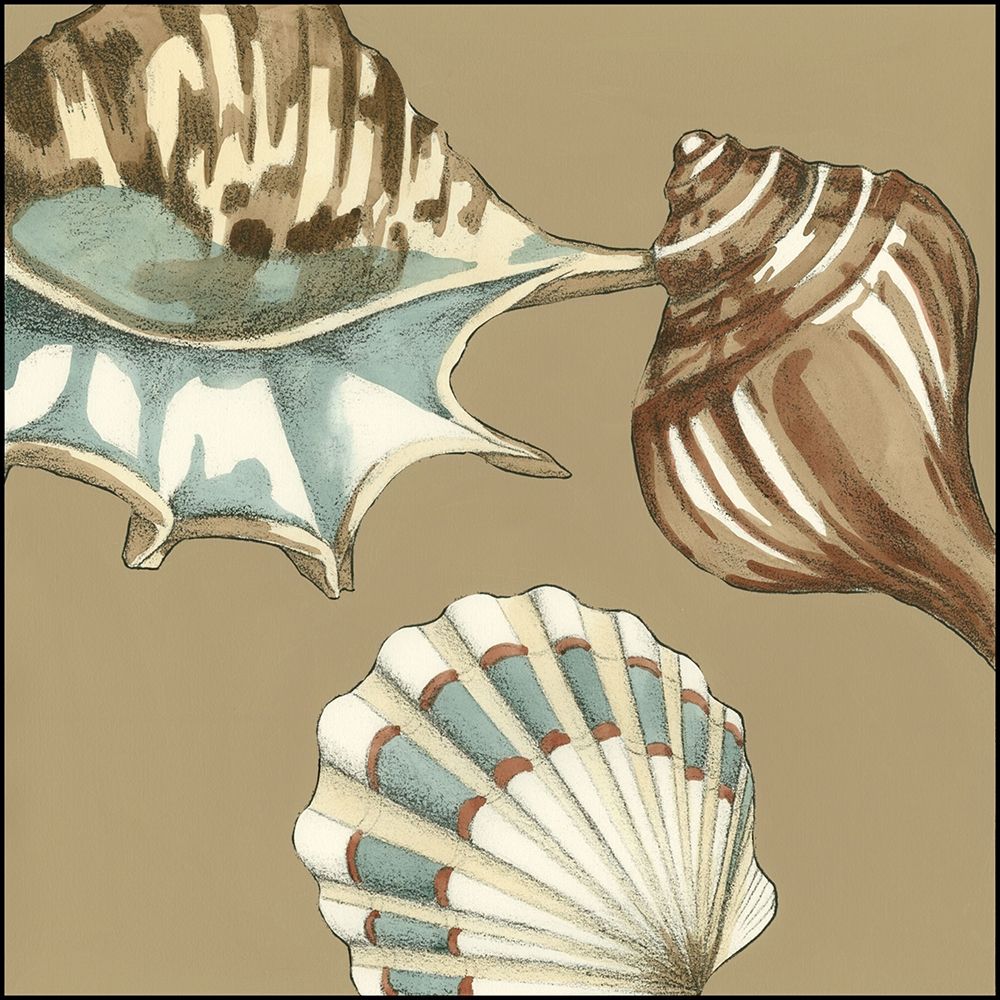 Wall Art Painting id:236444, Name: Small Shell Trio on Khaki III, Artist: Meagher, Megan