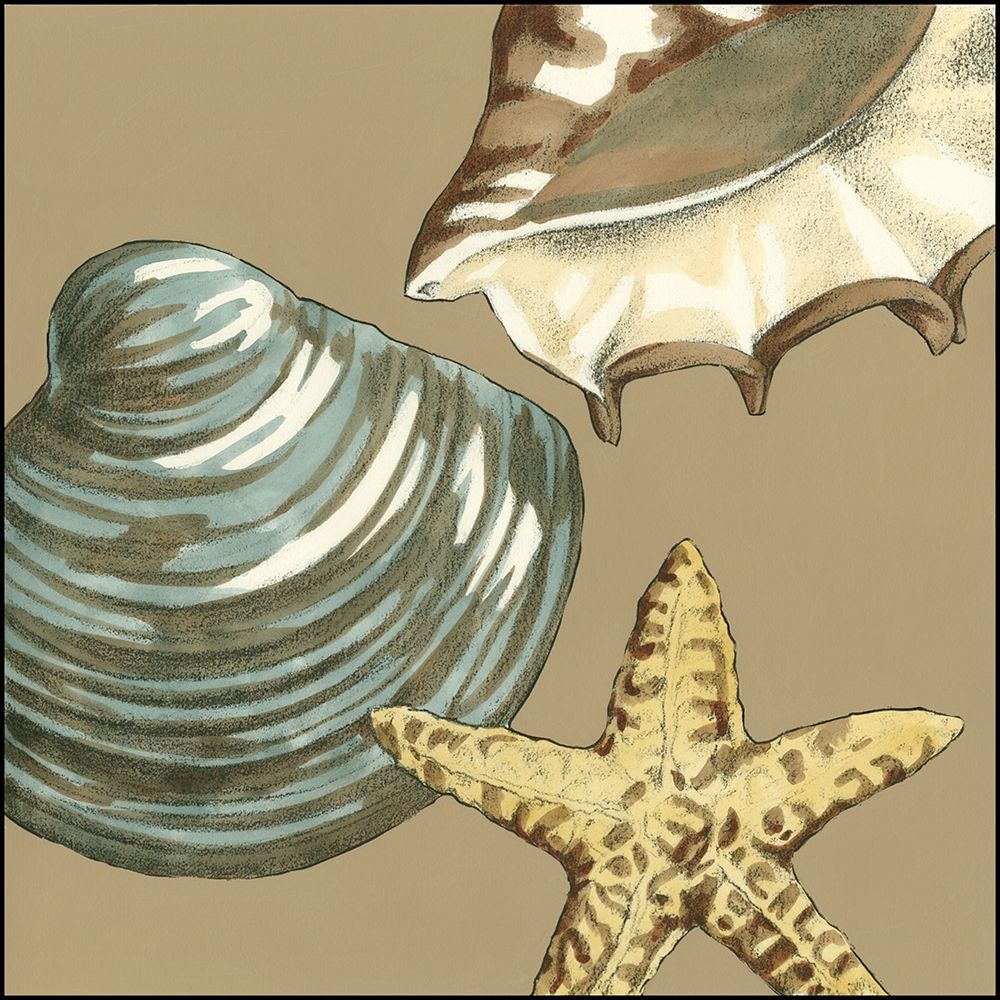 Wall Art Painting id:236445, Name: Small Shell Trio on Khaki IV, Artist: Meagher, Megan
