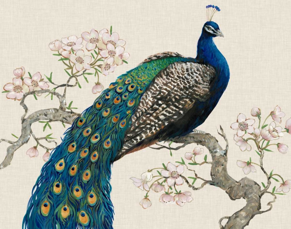 Wall Art Painting id:49735, Name: Peacock and Blossoms I, Artist: OToole, Tim
