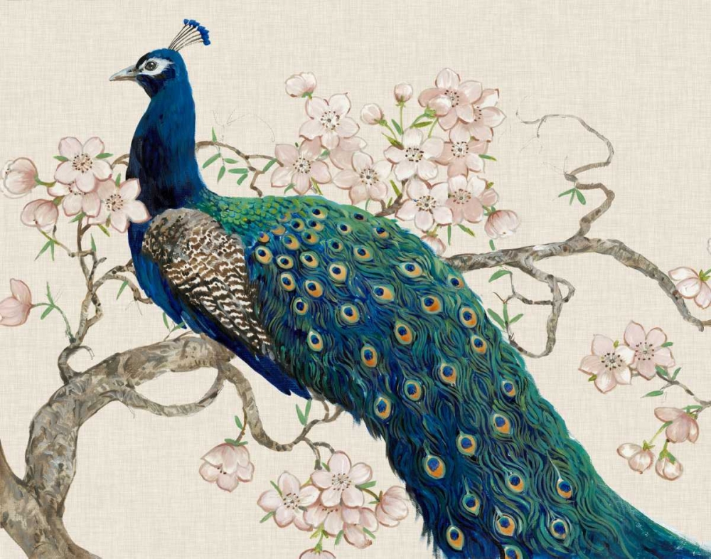 Wall Art Painting id:49736, Name: Peacock and Blossoms II, Artist: OToole, Tim