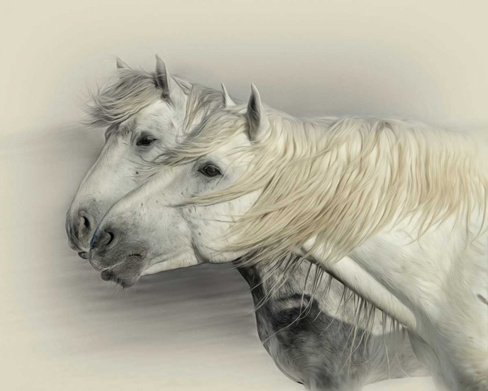 Similar wall art painting: 38345