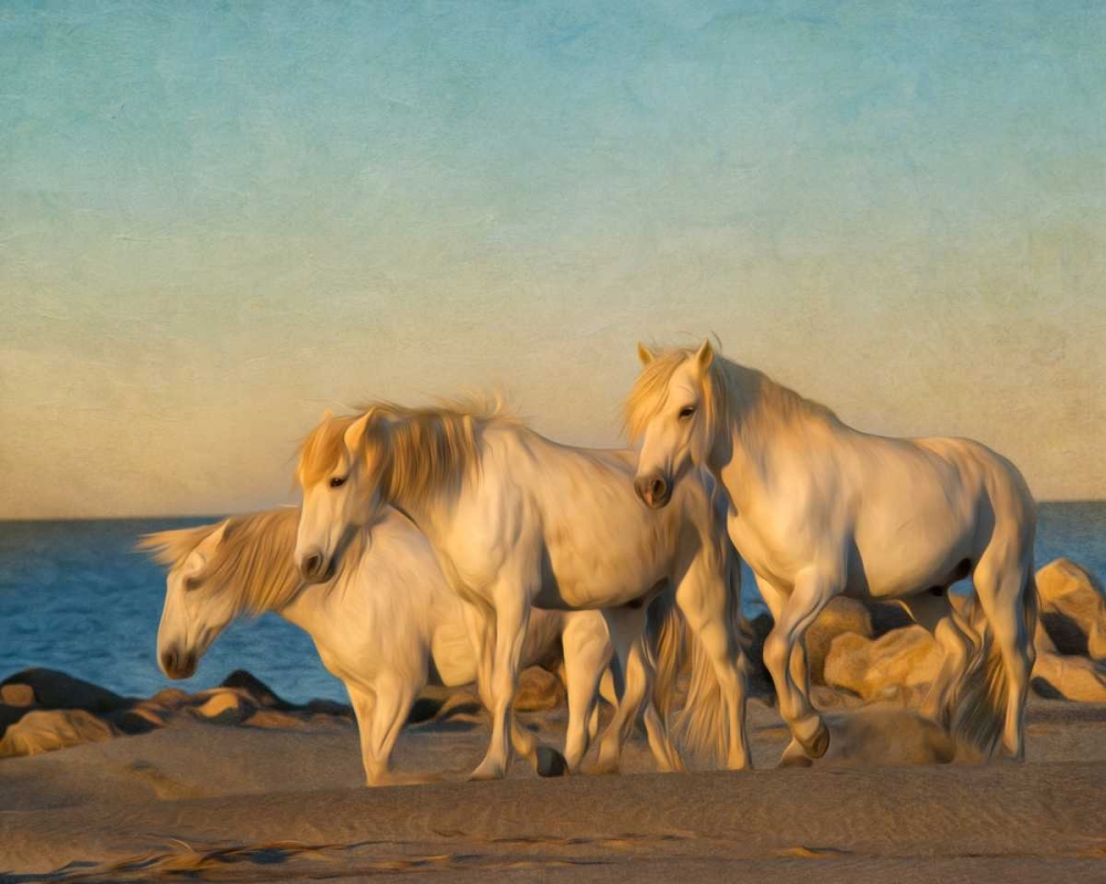 Similar wall art painting: 38347