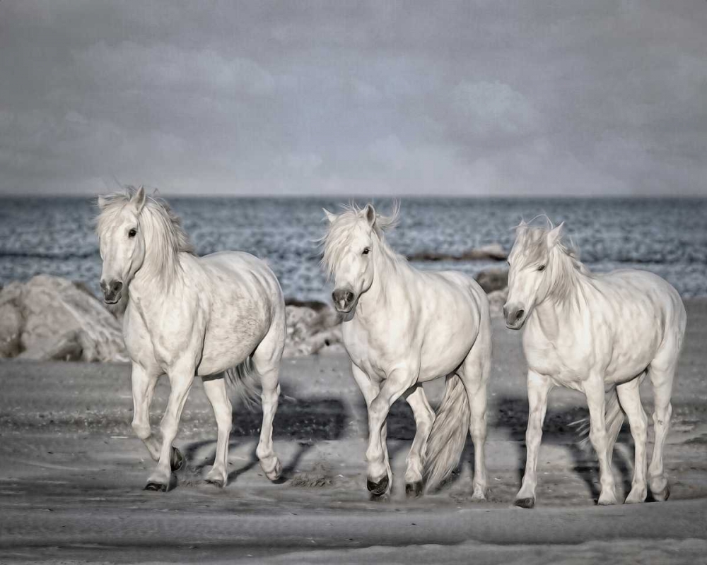 Similar wall art painting: 38349