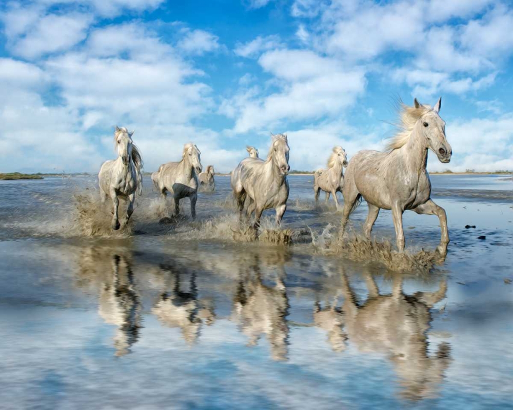 Similar wall art painting: 38351