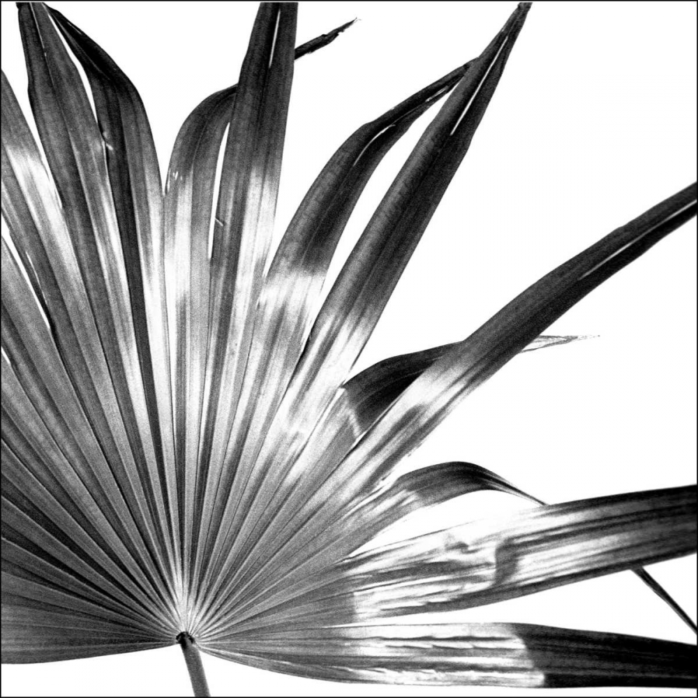 Similar wall art painting: 154191