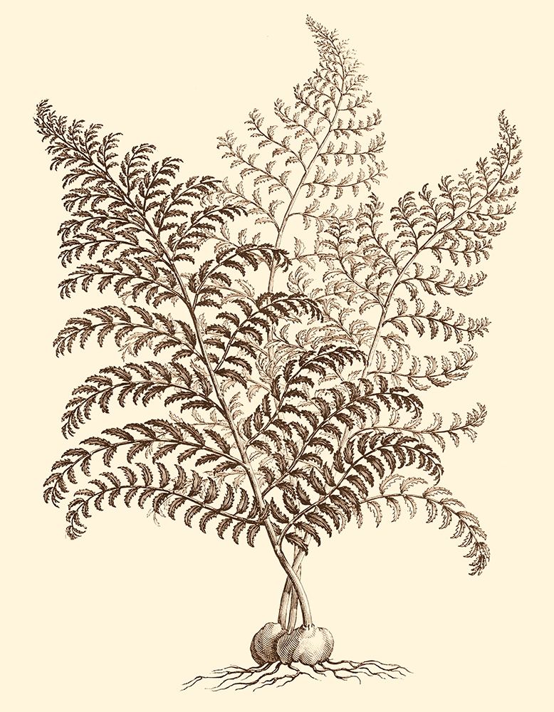 Wall Art Painting id:255677, Name: Sepia Munting Foliage VI, Artist: Munting, Abraham