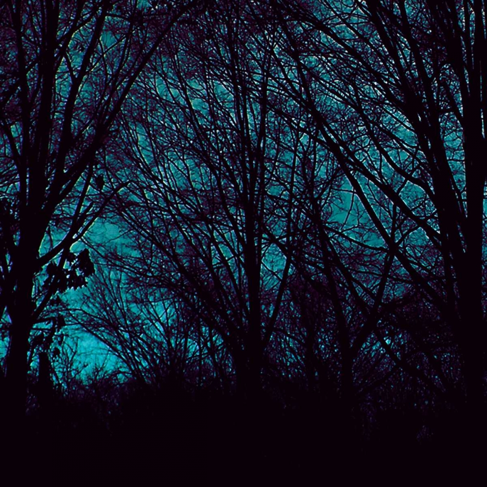 Similar wall art painting: 34901