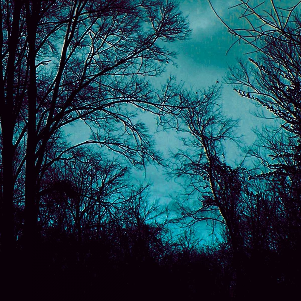 Similar wall art painting: 34902