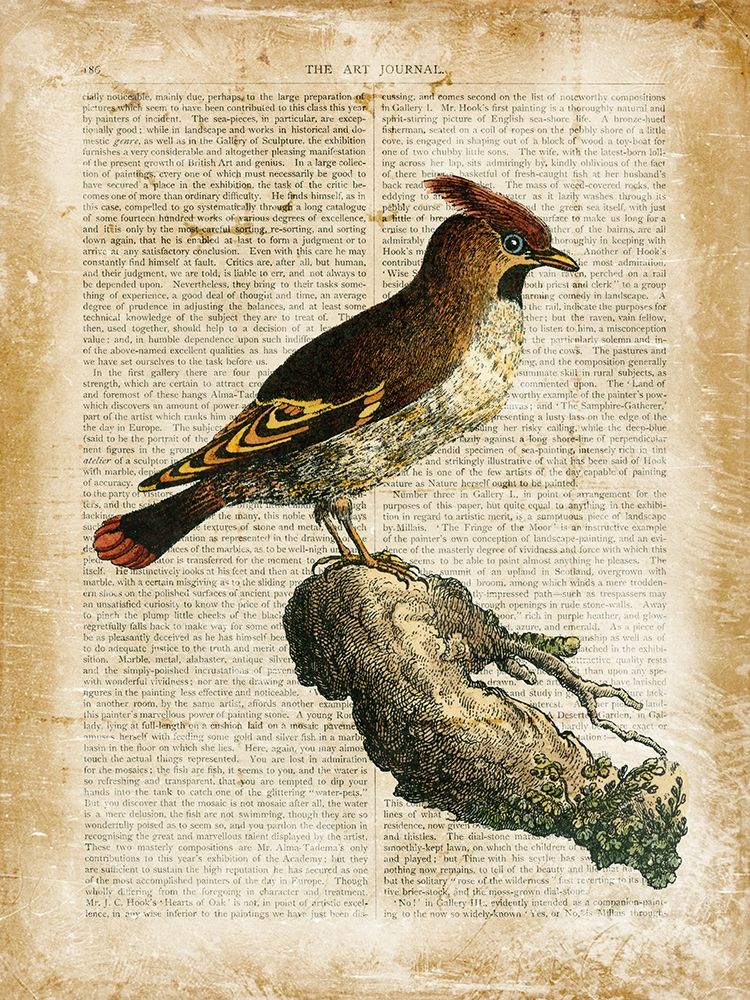Wall Art Painting id:195598, Name: Antiquarian Birds III, Artist: Vision Studio