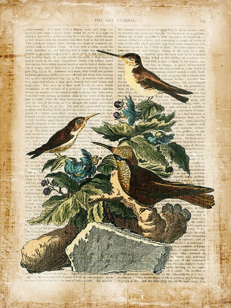 Wall Art Painting id:195599, Name: Antiquarian Birds IV, Artist: Vision Studio