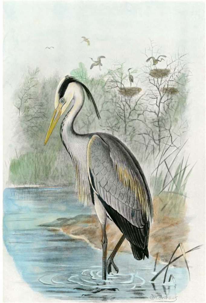 Wall Art Painting id:38400, Name: Oversize Common Heron, Artist: unknown