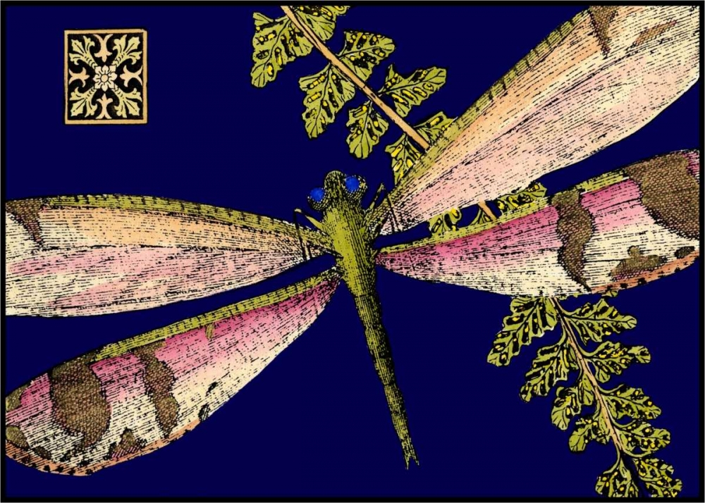 Wall Art Painting id:38402, Name: Mini Shimmering Dragonfly II, Artist: Vision Studio