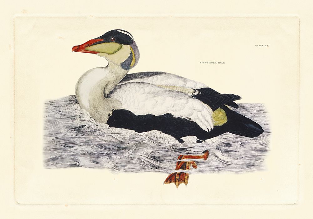 Similar wall art painting: 522869