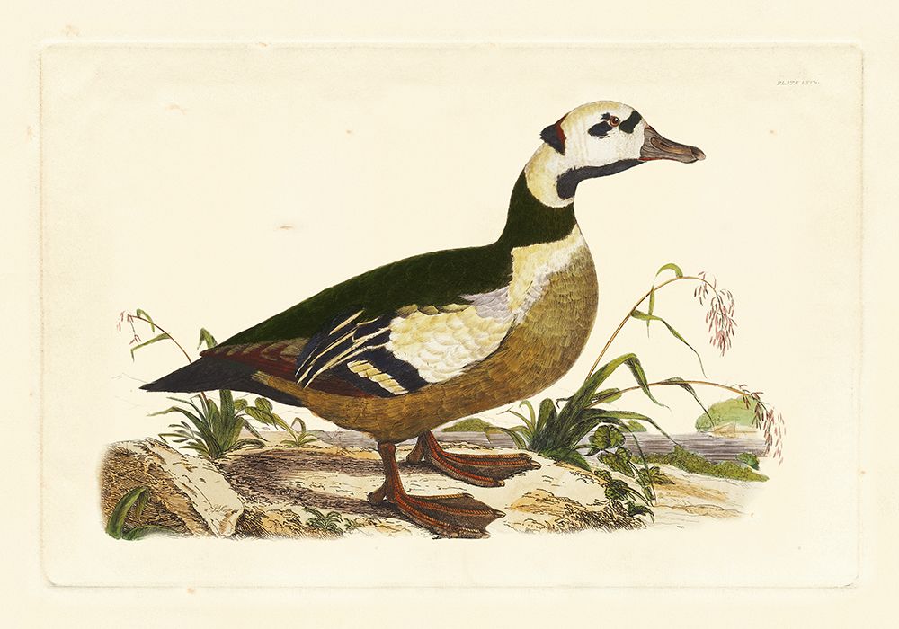 Similar wall art painting: 522895