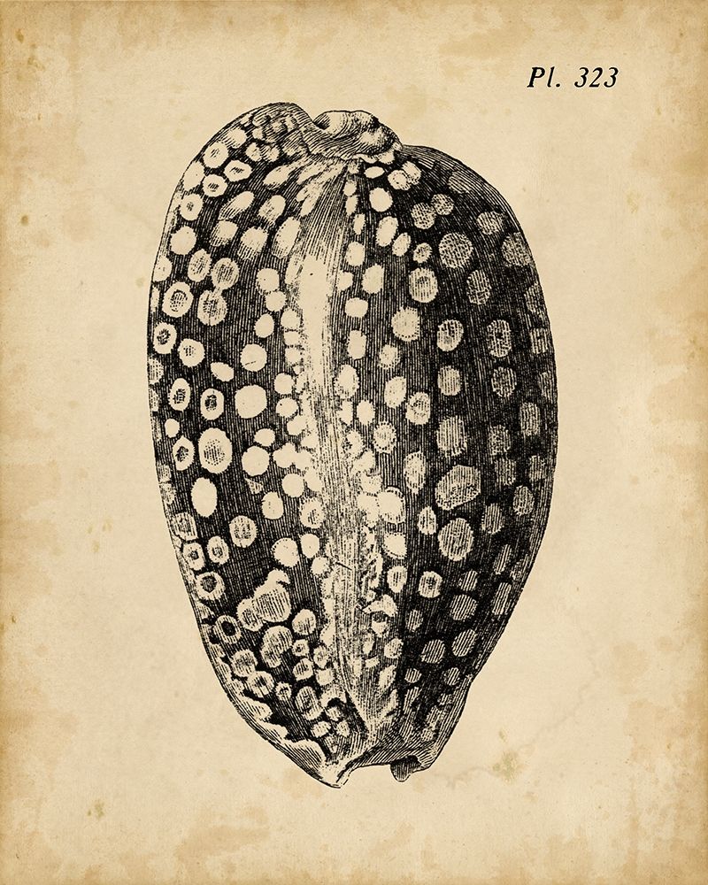 Similar wall art painting: 227361