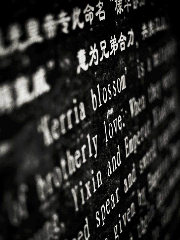 Similar wall art painting: 237295