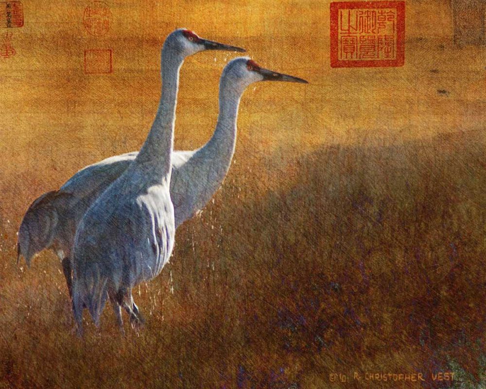 Wall Art Painting id:237473, Name: Walking Cranes, Artist: Vest, Chris