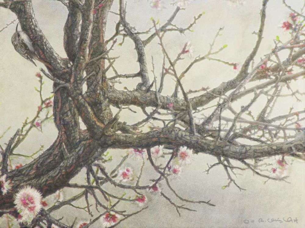 Similar wall art painting: 237495