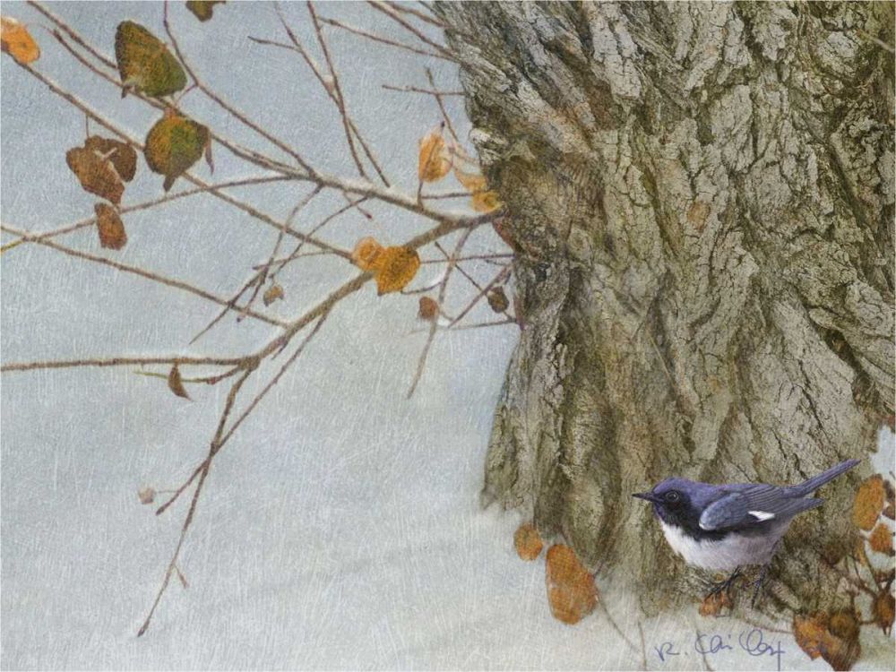 Wall Art Painting id:237496, Name: Late Snow Warbler, Artist: Vest, Chris