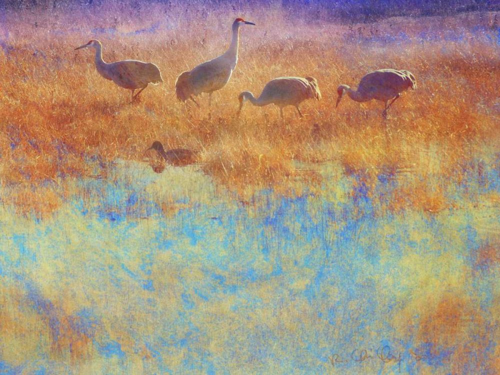 Wall Art Painting id:237497, Name: Cranes in Soft Mist, Artist: Vest, Chris