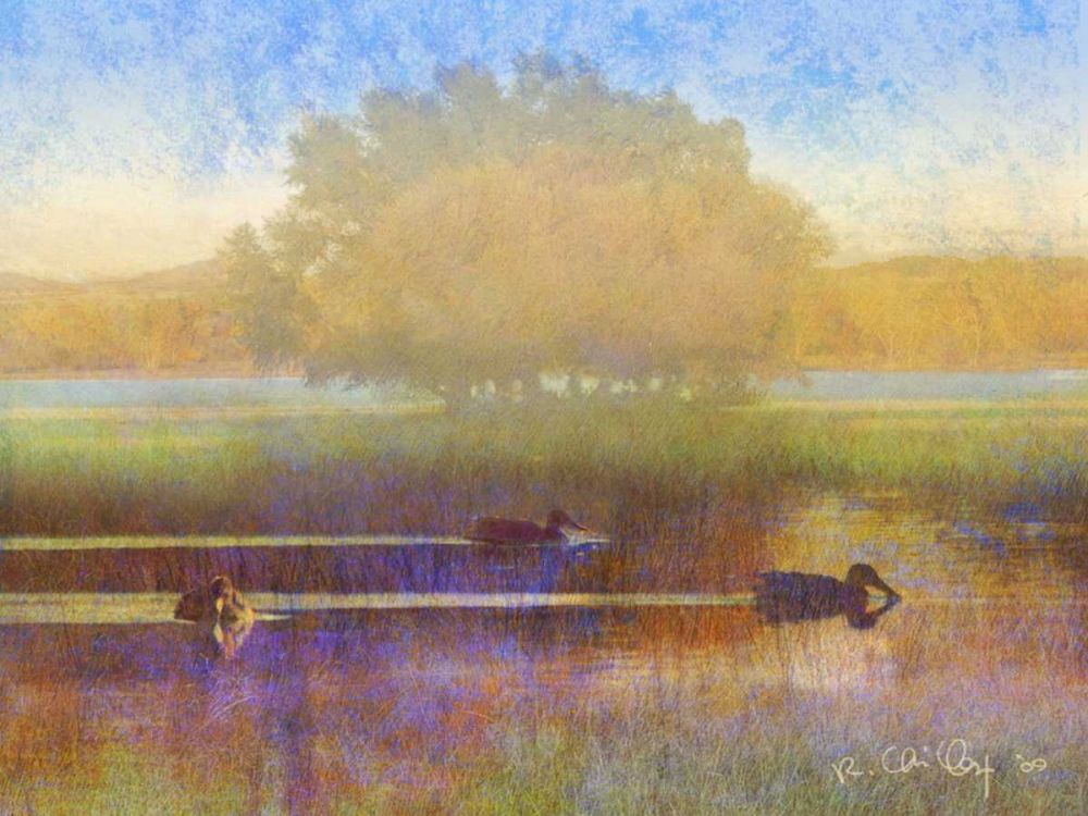 Wall Art Painting id:237498, Name: Ducks in Soft Mist, Artist: Vest, Chris