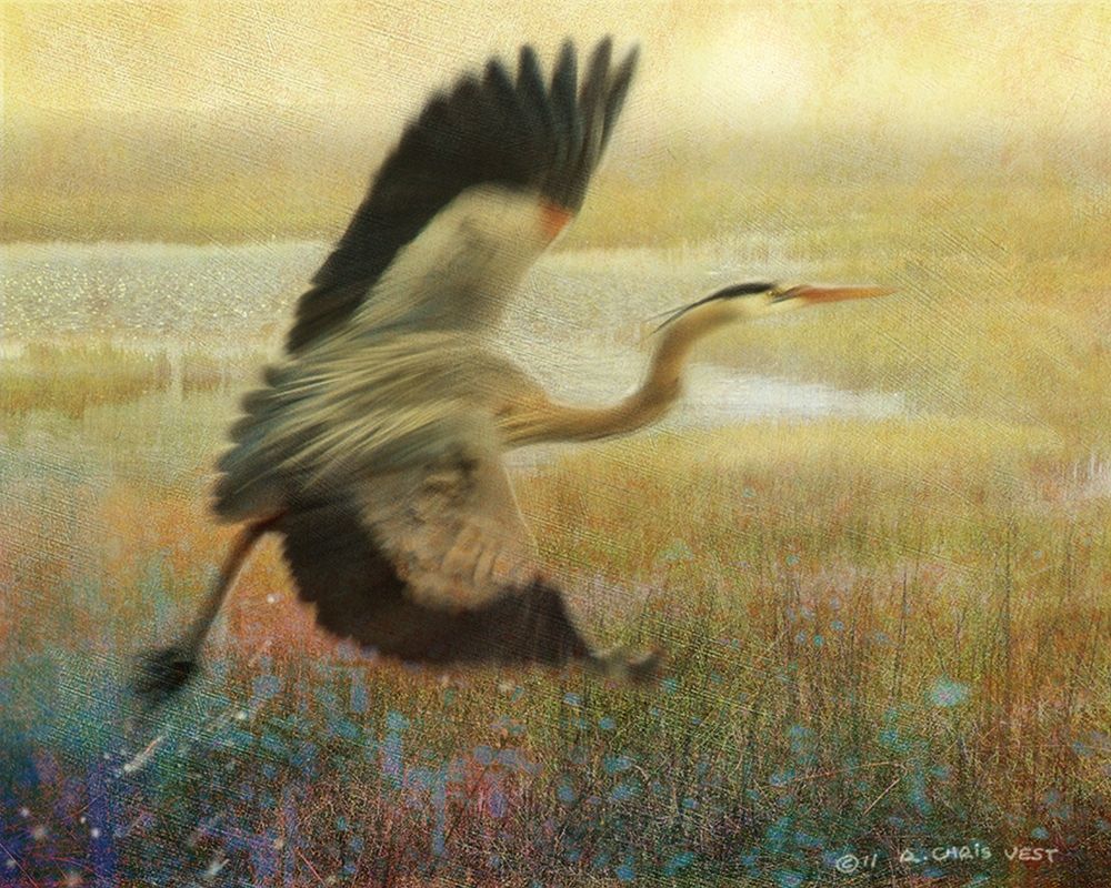 Wall Art Painting id:226998, Name: Foggy Heron I, Artist: Vest, Chris