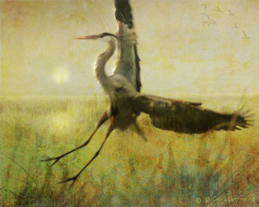 Wall Art Painting id:237505, Name: Foggy Heron II, Artist: Vest, Chris