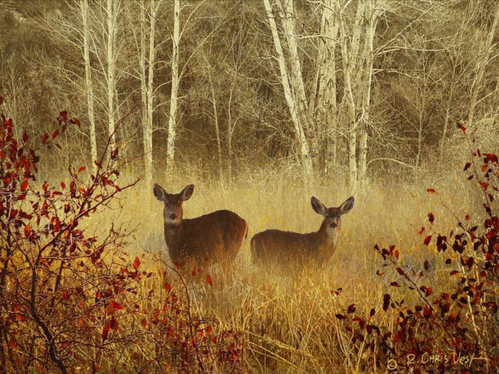 Wall Art Painting id:237510, Name: Foggy Deer, Artist: Vest, Chris