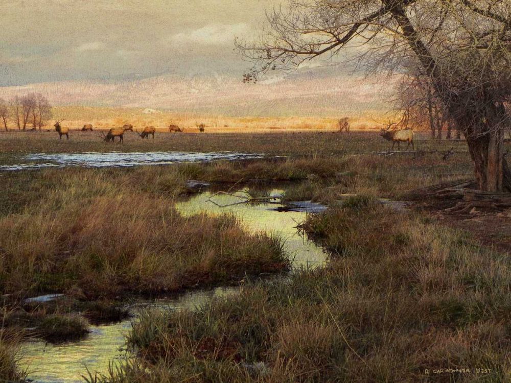 Wall Art Painting id:237621, Name: Elk and Creek, Artist: Vest, Chris