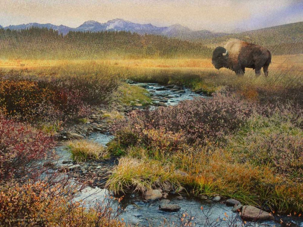 Wall Art Painting id:237622, Name: Bison and Creek, Artist: Vest, Chris