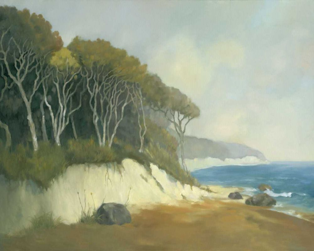 Wall Art Painting id:237630, Name: Northern Shore II, Artist: Reynolds, Graham