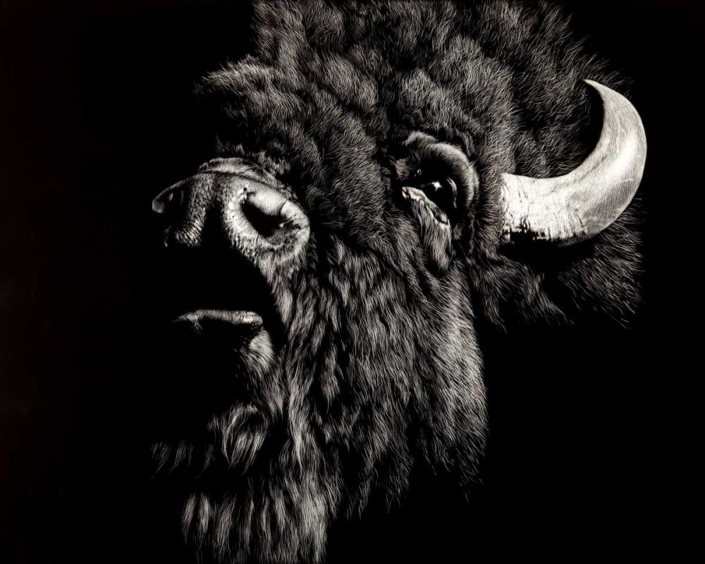 Similar wall art painting: 237759