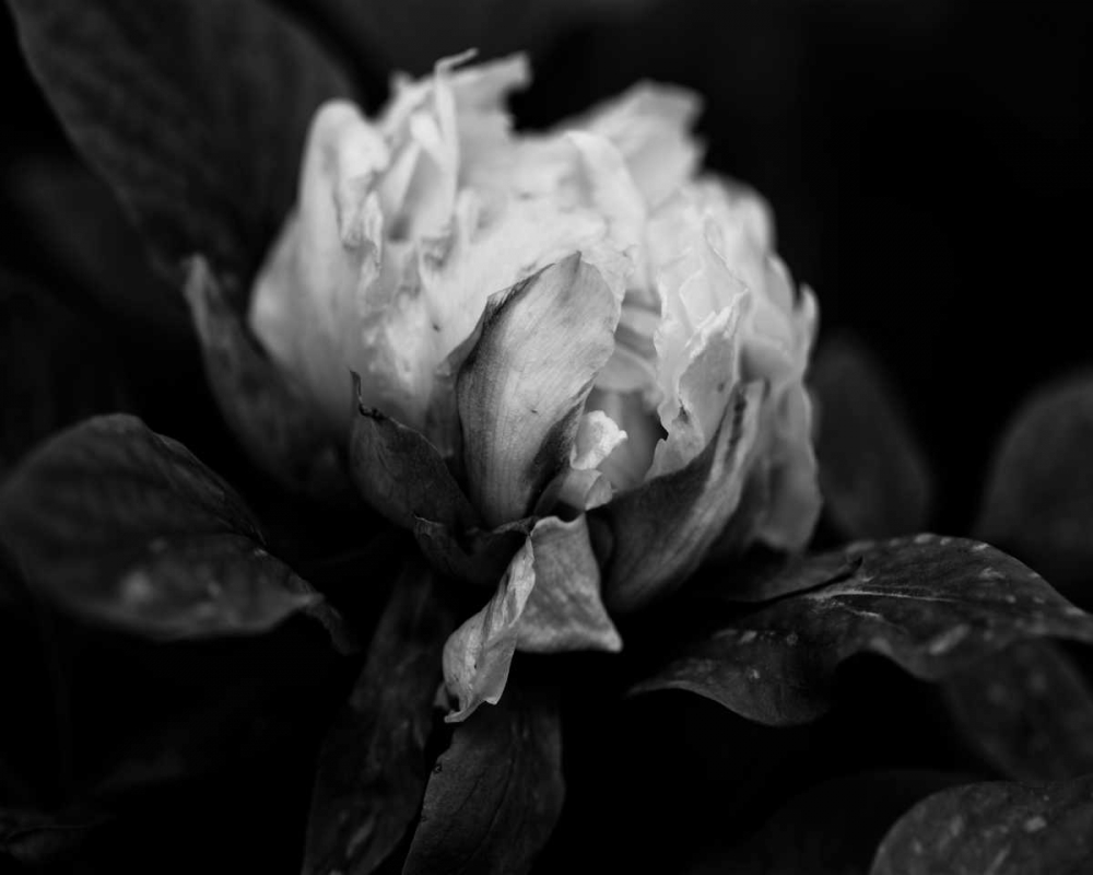 Similar wall art painting: 156261