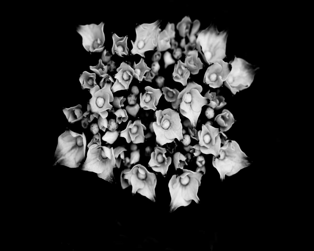 Similar wall art painting: 156263