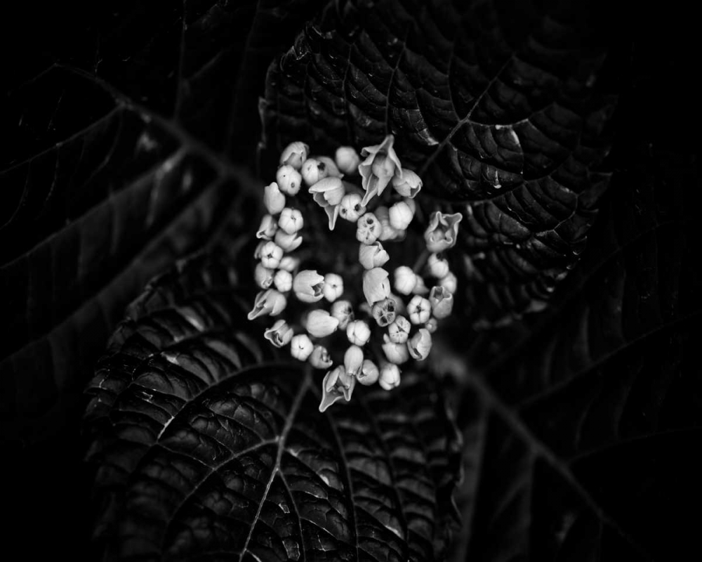 Similar wall art painting: 156264