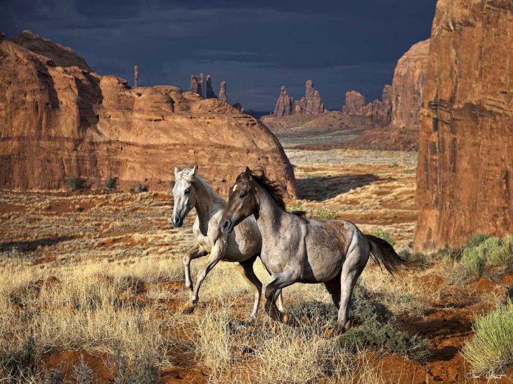 Similar wall art painting: 237859