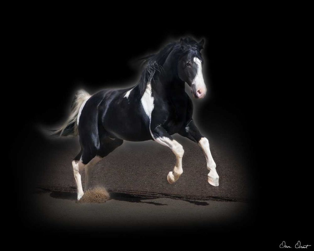 Similar wall art painting: 237892