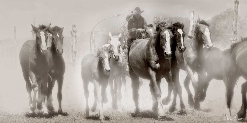 Similar wall art painting: 237896